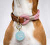 Beach Babe Pet Tag