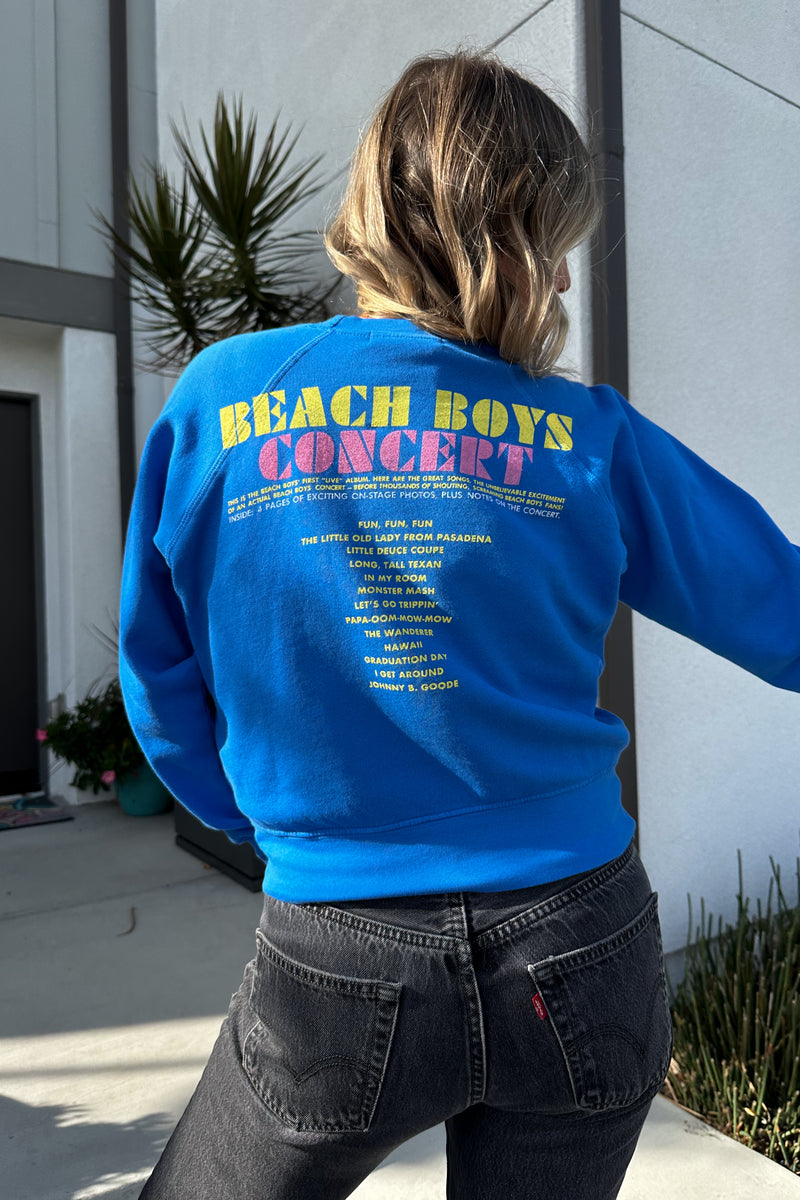 Daydreamer Beach Boys Concert Raglan Crew